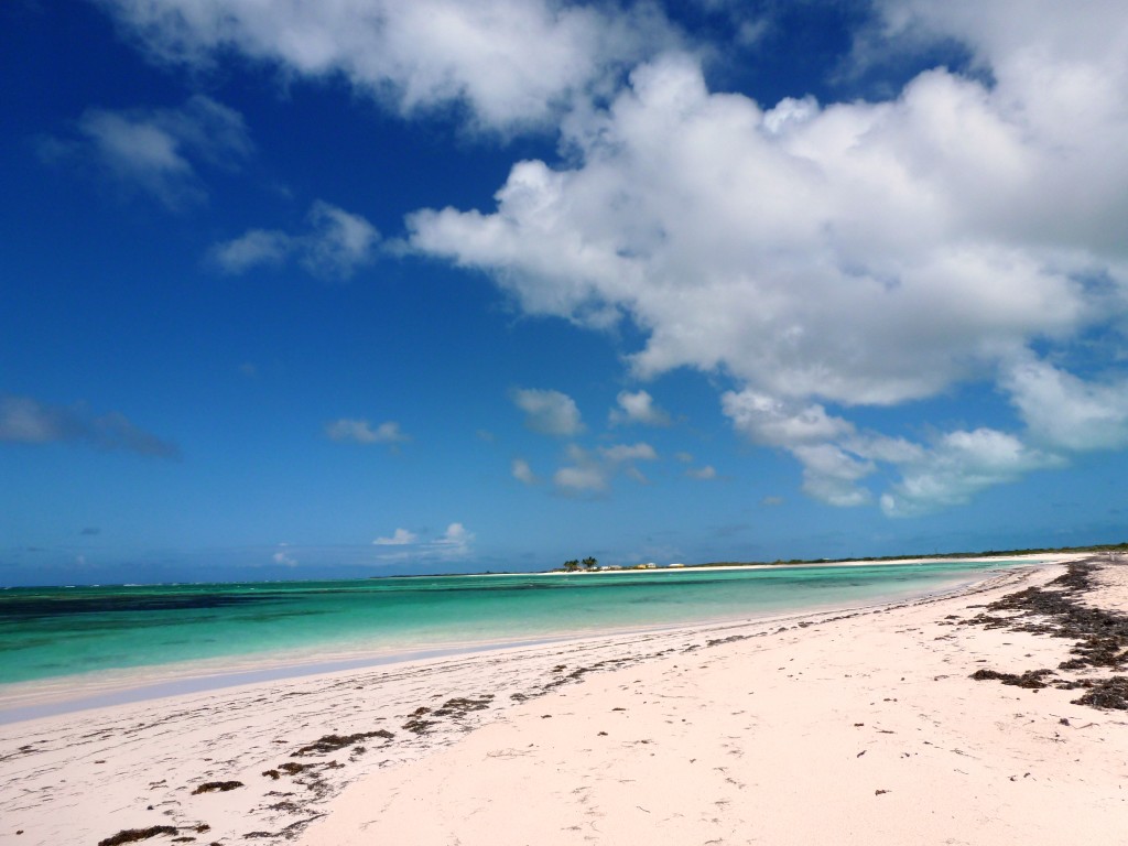 Anegada Loblolly Beach in the BVI