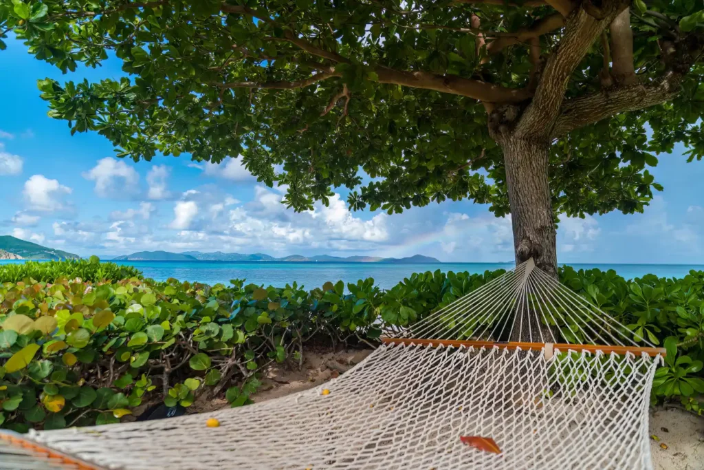 hammock at beachcomber