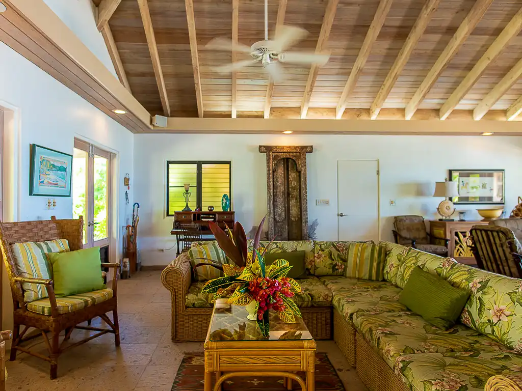 Sea Fans  living room