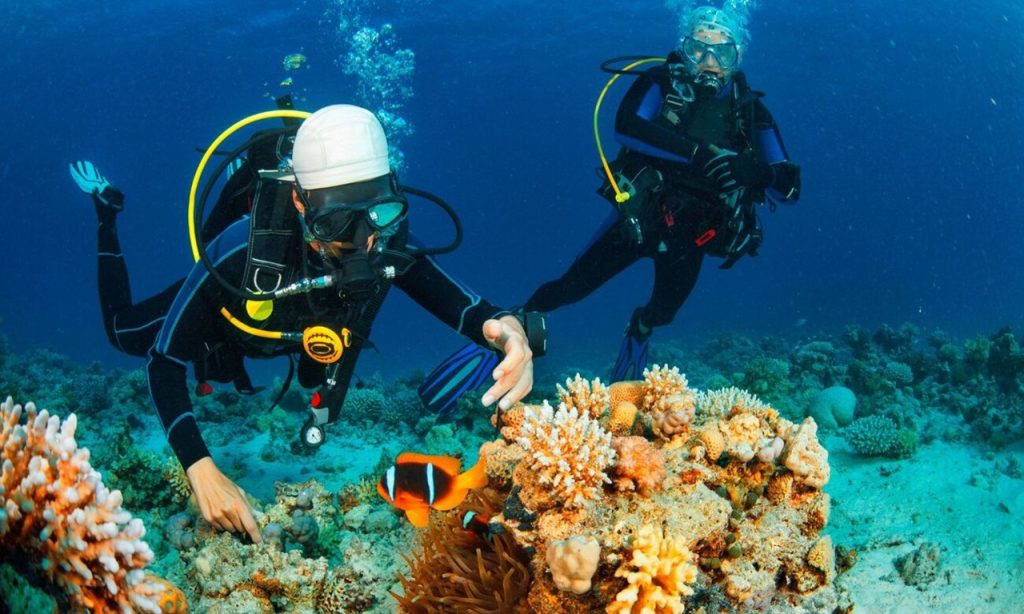 BVI snorkeling