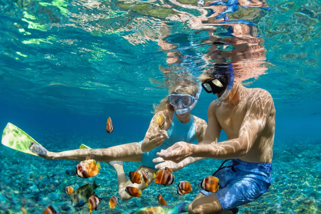 snorkeling 