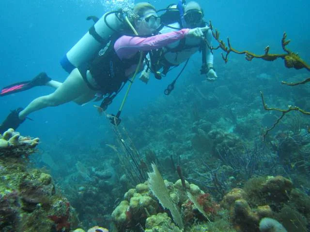 virgin islands scuba diving